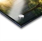 Peaceful Forest Path with Morning Light amazing serene landscape Acrylic print