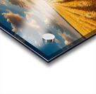 Golden Wheat Fields Under a Clear Sky amazing serene landscape Acrylic print