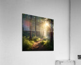 Peaceful Forest Path with Morning Light amazing serene landscape Acrylic Print