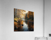 Calm River Flowing Through an Autumn Forest amazing serene landscape Acrylic Print