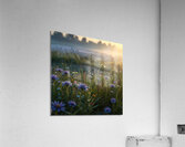 Morning Dew on a Meadow of Flowers amazing serene landscape Acrylic Print