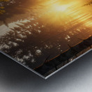 Golden Hour Over a Peaceful Forest amazing serene landscape Metal print