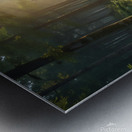 Peaceful Forest Path with Morning Light amazing serene landscape Metal print