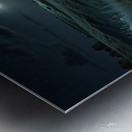 Moonlit Night Over a Calm Meadow amazing serene landscape Metal print