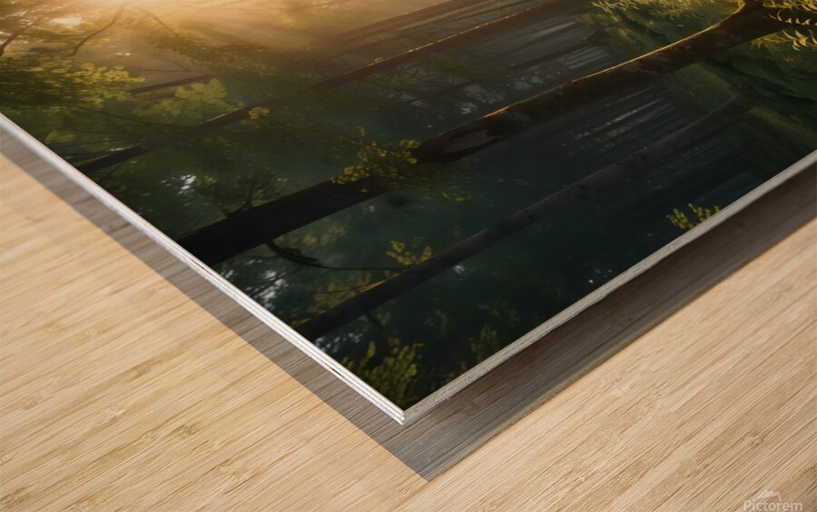 Peaceful Forest Path with Morning Light amazing serene landscape Wood print