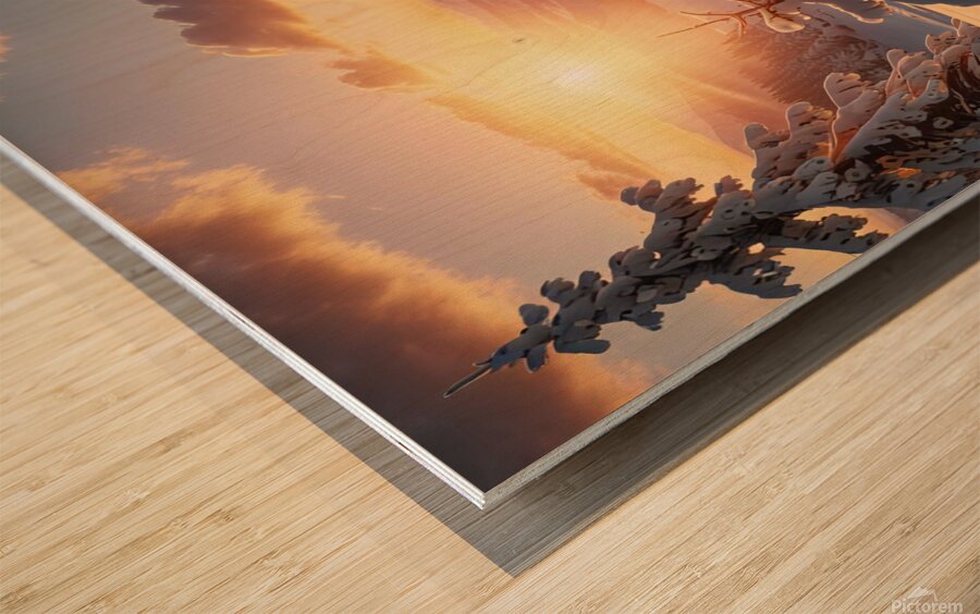 Sunrise Over a Snowy Landscape amazing serene landscape Wood print