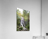 Mingo Falls 1 Acrylic Print