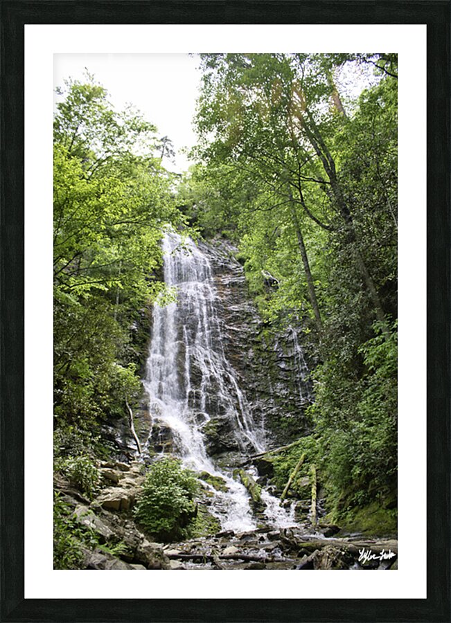 Mingo Falls 1 Picture Frame print