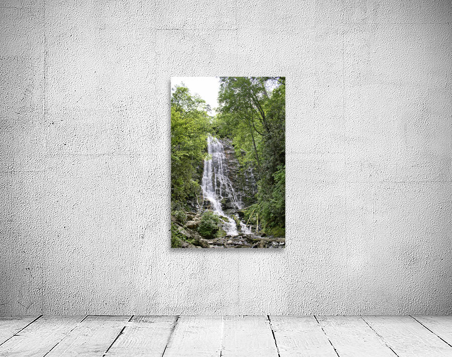 Mingo Falls 1 Wall Preview