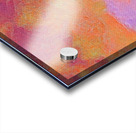 desert dream Acrylic print