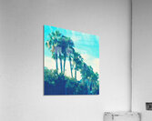watercolor palm trees Acrylic Print