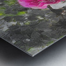pink rose Metal print