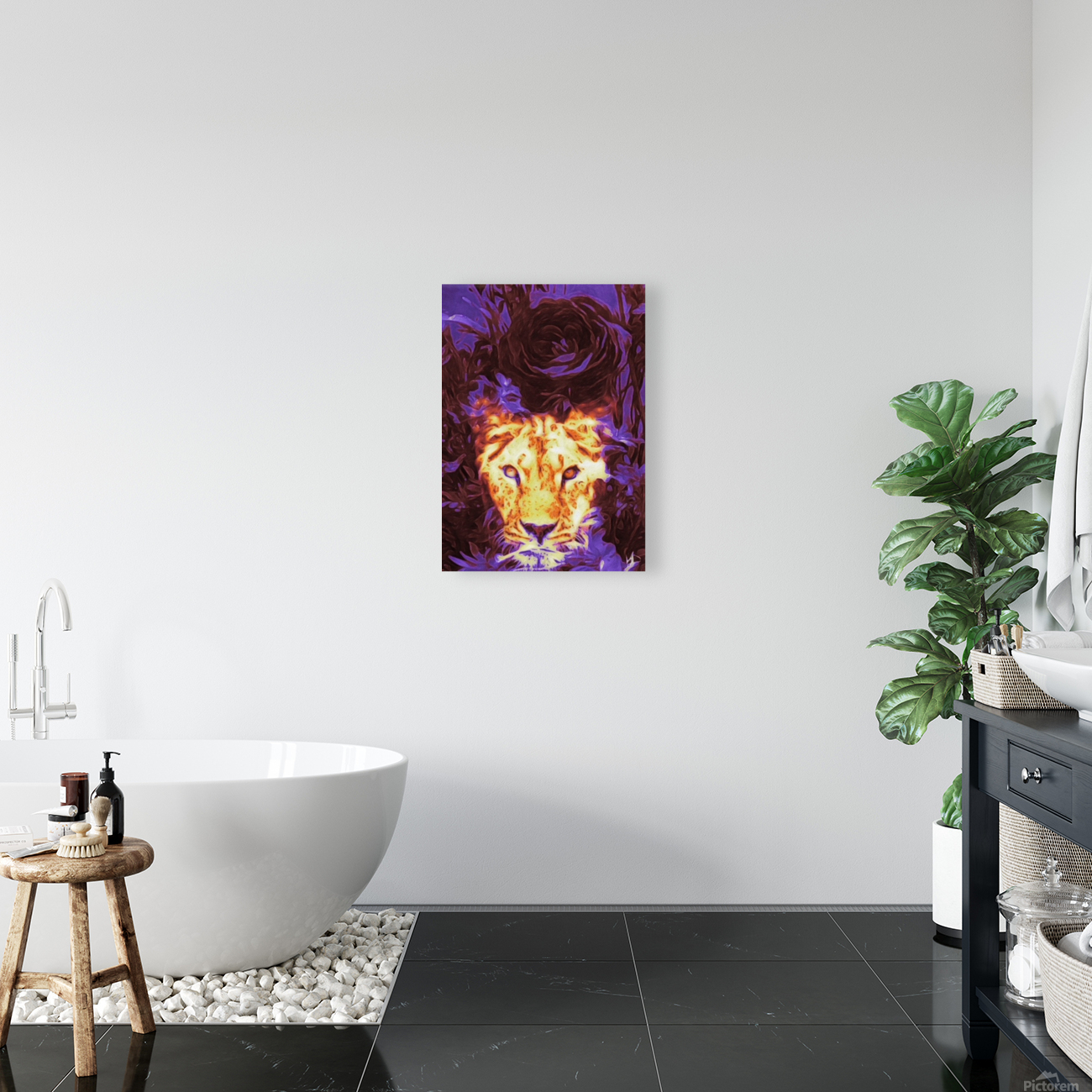 lioness musician Reproduction