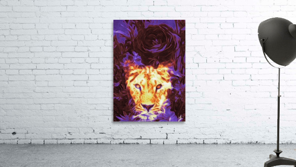 lioness musician Wall Preview