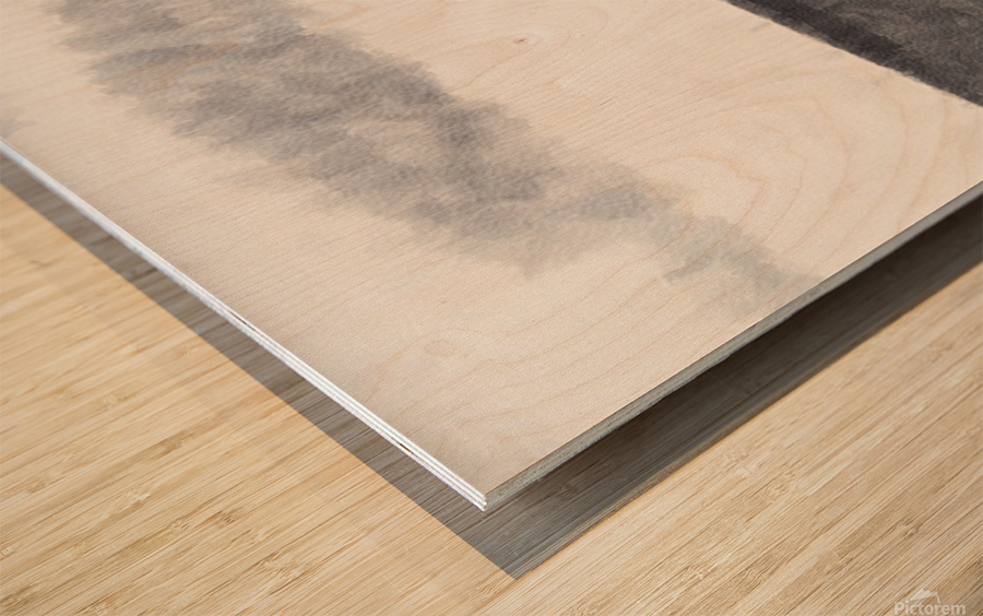 b-w abstract horizon Wood print