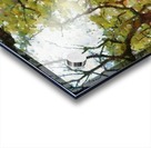 HC0258    Acrylic print
