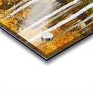HC0313 Acrylic print