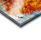 HC0310 Acrylic print