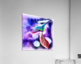 HC0266    Acrylic Print
