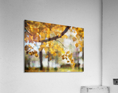 HC0267    Acrylic Print