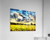 HC0249 Acrylic Print