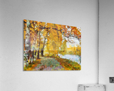 HC0274 Acrylic Print