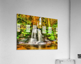 HC0336 Acrylic Print