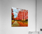 HC0309 Acrylic Print