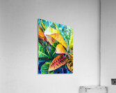 HC0803   Acrylic Print