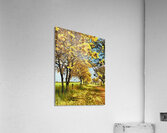 HC0992   Acrylic Print