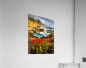 HC0964    Acrylic Print