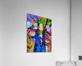 HC0867    Acrylic Print