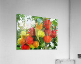 HC0875  Acrylic Print