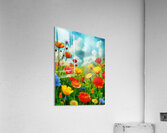 HC1009  Acrylic Print