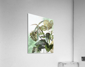 HC0834    Acrylic Print