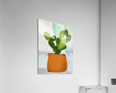 HC0840    Acrylic Print
