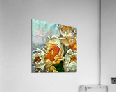 HC0474    Acrylic Print