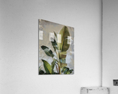 HC0694  Acrylic Print