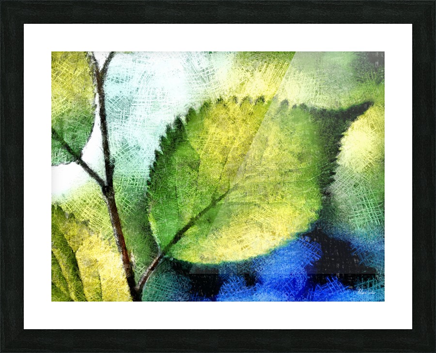 HC0270 Picture Frame print