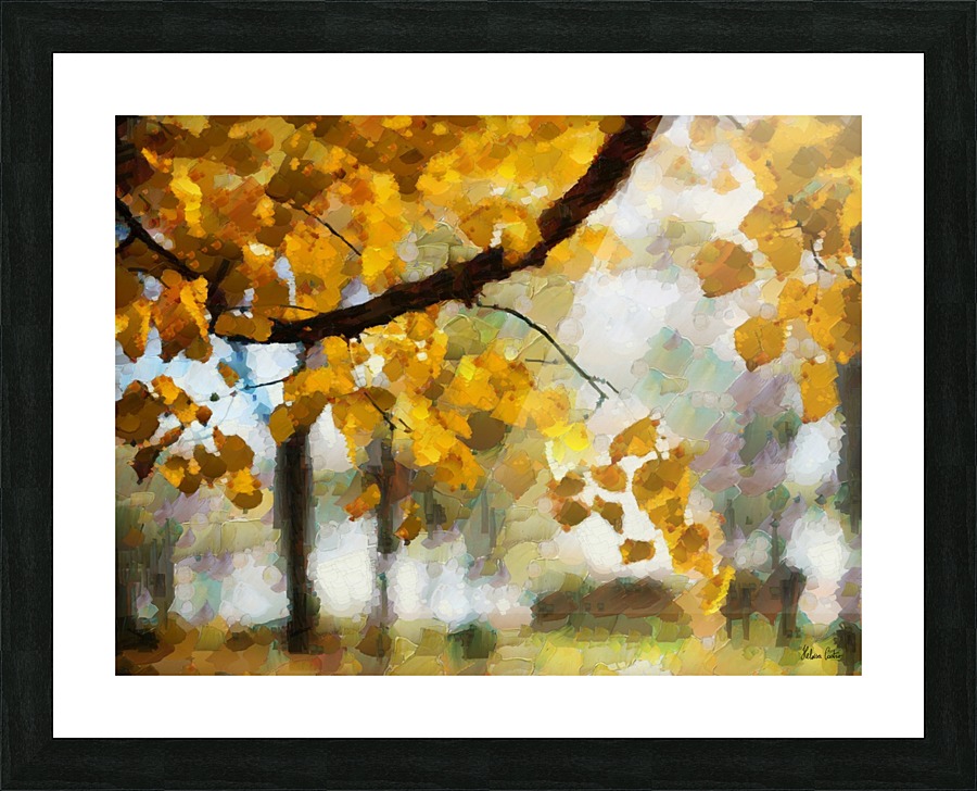 HC0267    Picture Frame print