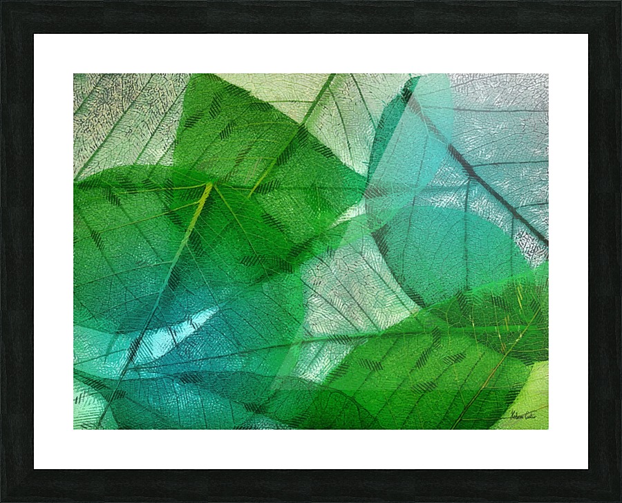 HC0272    Picture Frame print