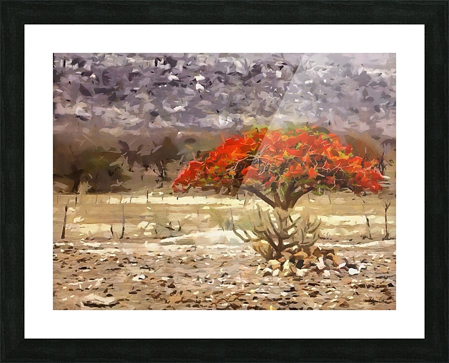 HC0254 Picture Frame print
