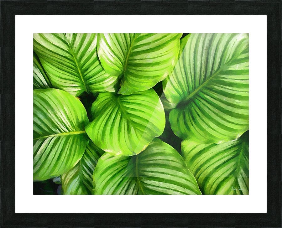 HC0281    Picture Frame print