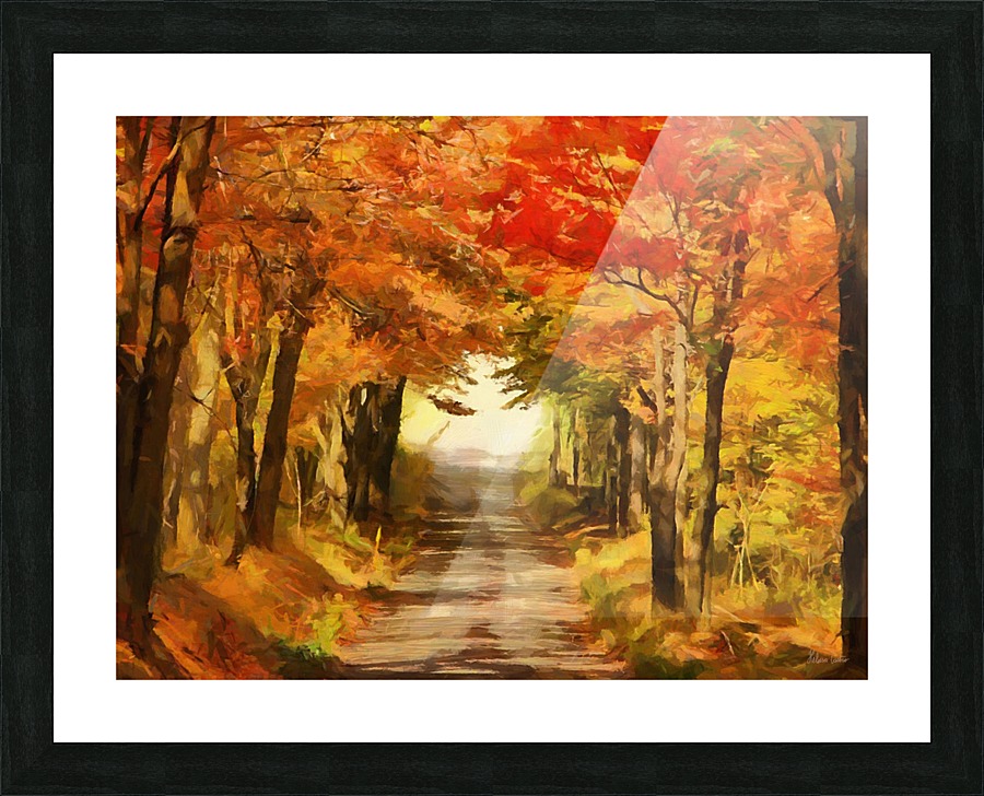 HC0286    Picture Frame print