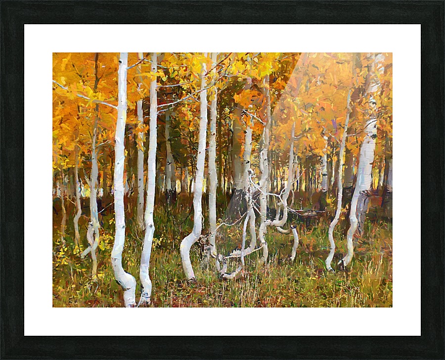 HC0313 Picture Frame print