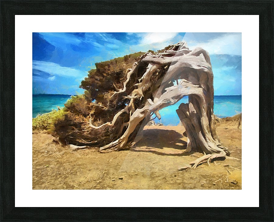 HC0312 Picture Frame print