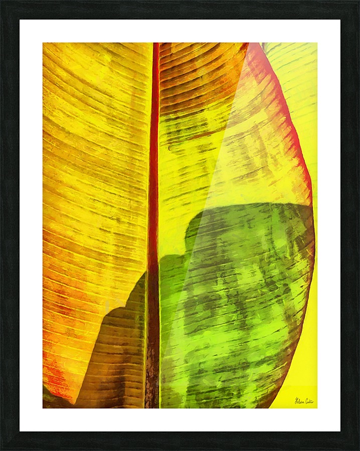 HC0333 Picture Frame print