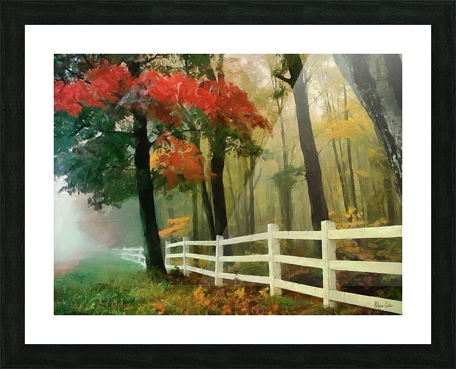 HC0300 Picture Frame print