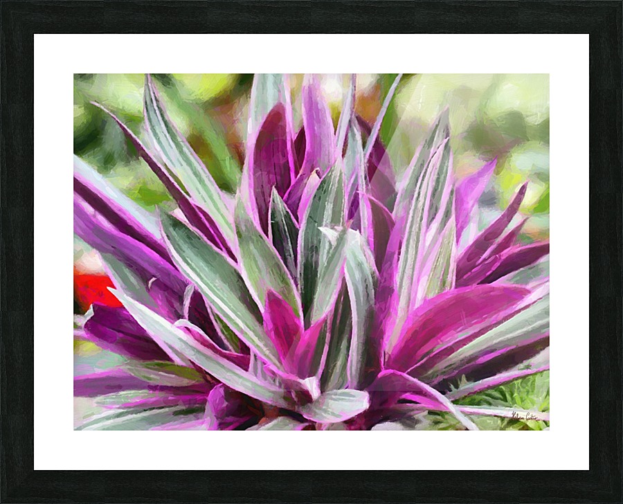 HC0285 Picture Frame print