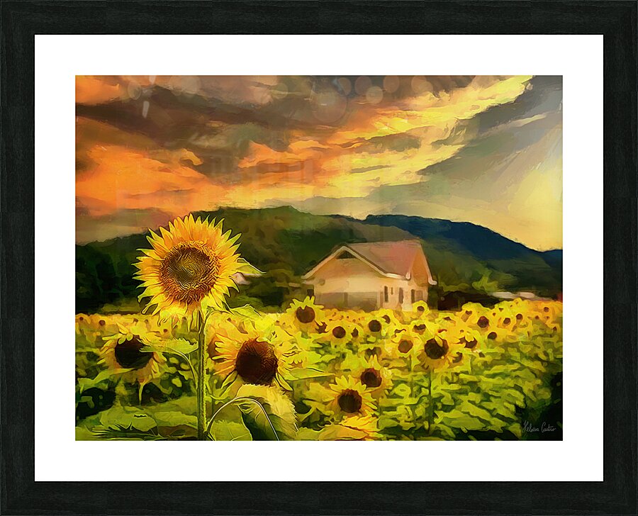 HC0978    Picture Frame print